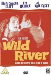 Wild River Poster 1960